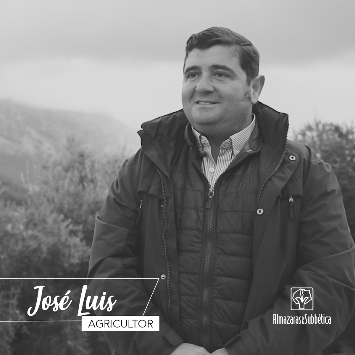 Almazaras de la Subbética tweet media
