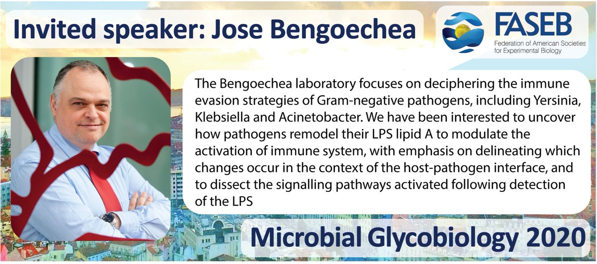 FASEB_Microbial_glycobiology_2020 tweet media