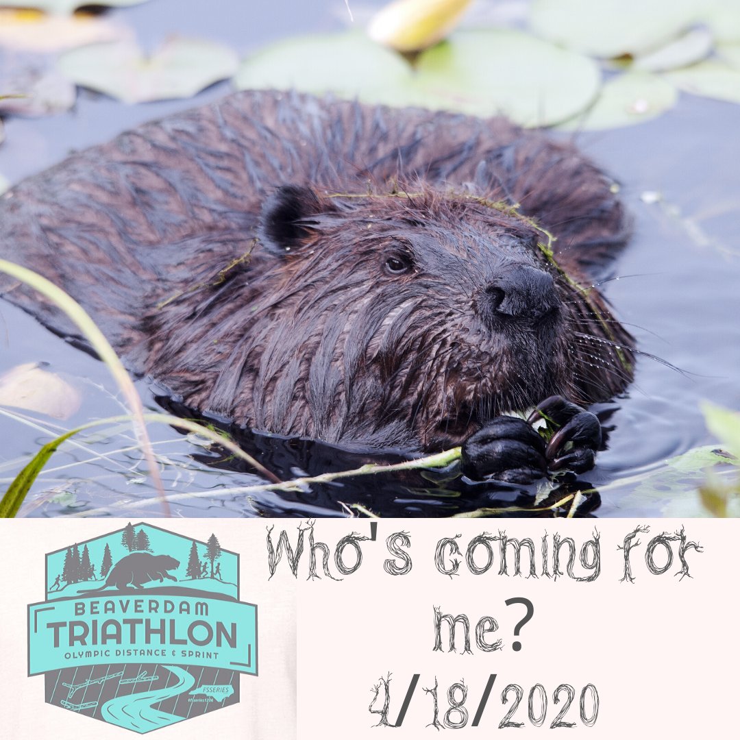 FSSeries's tweet image. For all the swimmers we offended yesterday-here is a race for you.

Our first open water swim of the season!

fsseries.com/event/beaverda…