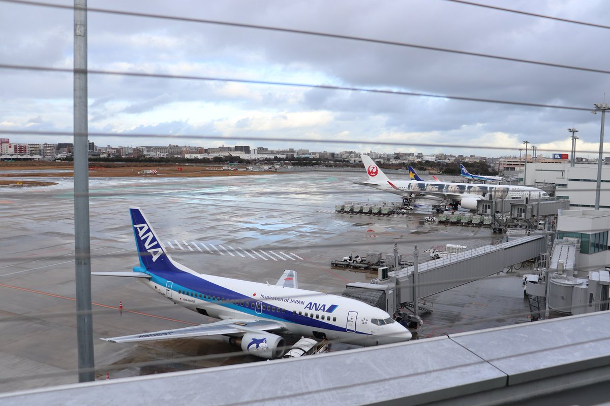 T Shibata 千葉好き 昨日の福岡空港 1 手前にanaのスーパードルフィン 37 500 奥にjalの嵐ジェット A350 900 2 スーパードルフィンが2機 ある意味貴重な瞬間かも