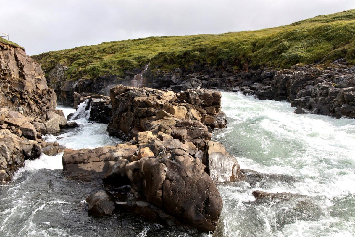 SixRiversSalmon's tweet photo. The Atlantic Salmon is endangered.

Our goal is to establish new ways to reverse the decline.

Through research and development, we hope to protect this iconic species and the beautiful #environment in its last 'safe-haven' in North East Iceland. https://t.co/F7iKDmUGFa