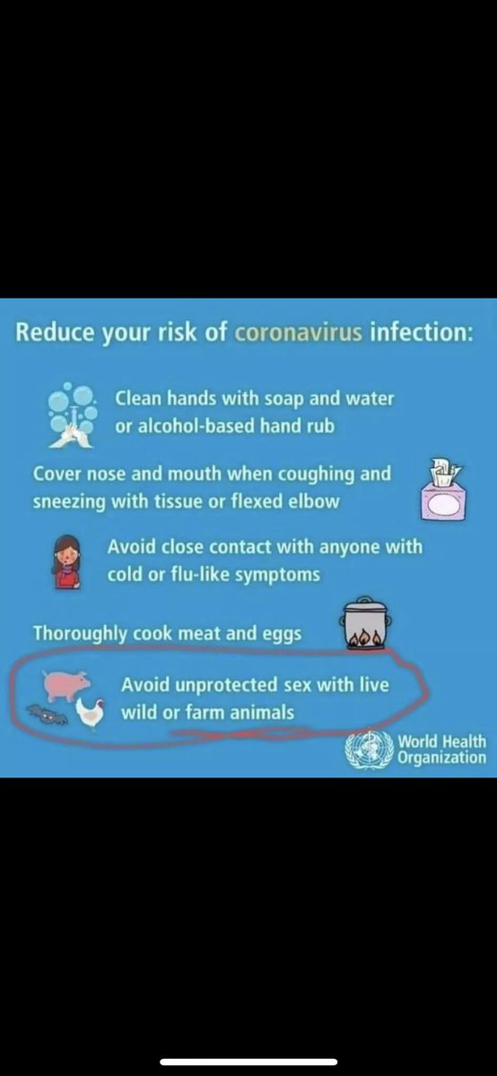 MeishaFry's tweet photo. Don’t worry people you can still have sex with animals as long as it’s protected.
#coronarvirues #worldhealthorganization #pleasebefake https://t.co/puj7Yj8ODm