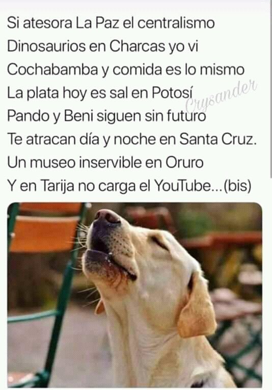ChocloPresi's tweet photo. EL PARTIDO DELI DENUNCIA ESTA PROPUESTA DEL CANDIDATO @Petardito21F DE CAMBIAR LA LETRA DEL “SALVE O PATRIA”.

El gobierno de Choclo Presidente no modificará los símbolos patrios y revocará el status de plato bandera a la huminta. https://t.co/0zjMTLc8Je