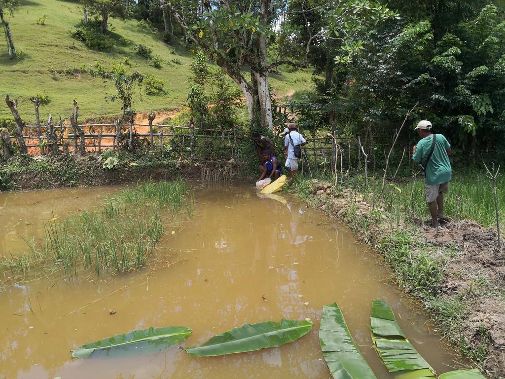 MortillaroJM's tweet photo. After 2 years working on #SWMProgramme we reached first stocking of 200 #Paratilapia in #Makira #Madagascar sector 1 - Ambalamahogo @WCS_Mada @Cirad @CIFOR @FAOfish #APDRA #ADRPi
Very proud to be here and hope next pond will be finished and stocked very soon... 🎉🎉🎉🐟🐟🐟 https://t.co/pmRIC8VryU