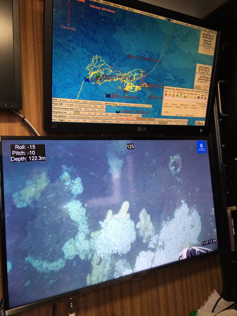 Happy to announce the #Tisler soundtrap arrived safely on the seafloor and is surrounded by #coldwatercoral colonies - see you back in April! @ASSEMBLE_Plus @GeosciencesEd @SAMSoceannews @eu_atlas @SAMSoceannews @ewaneddy