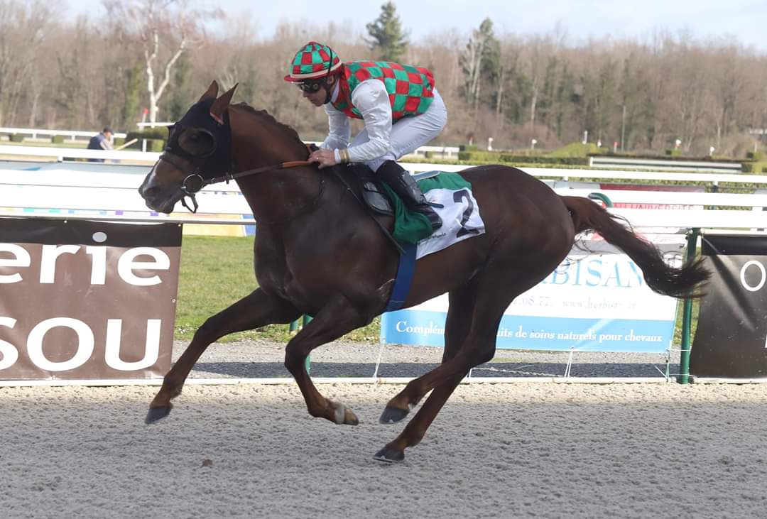 afac_contact's tweet photo. 📆28.01.2020 #PAU
🏆WATHBA STALLIONS CUP - HARA DE GELOS🏆
#DERYAN🏇
🏆PRIX MAGICIENNE🏆
#SNAN🏇
#RESULTS💻
https://t.co/vZQDO2hbg4
📸 Chantal Hourcadette https://t.co/nTO9FVN5SG