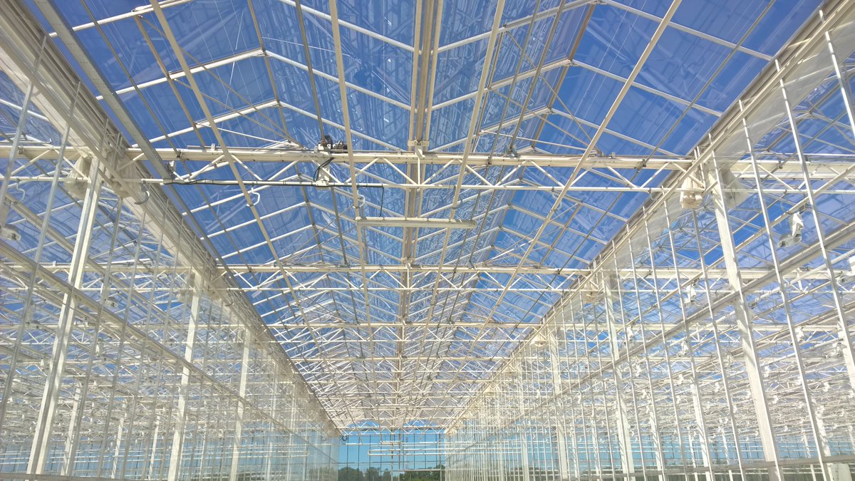 Horti_XS's tweet photo. https://t.co/SYLbH3a4AI