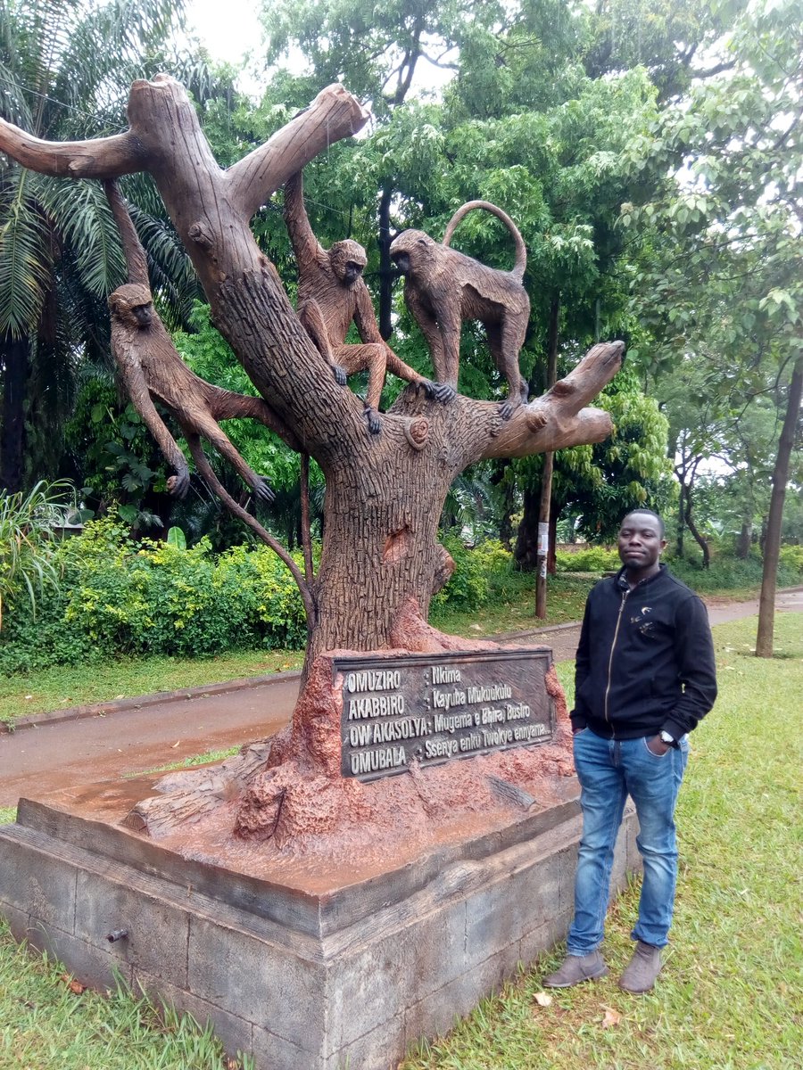 AramarkMedia's tweet photo. Ab'Ekika ky'Enkima muliwa?
Abaana n'abazzukulu omuziro ggwaffe #Nkima
Omubala gaffe: Ow'Enkima Talya dduma... https://t.co/YQBC4YpvGZ