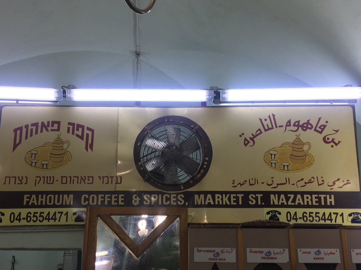 Shira Shimoni tweet media