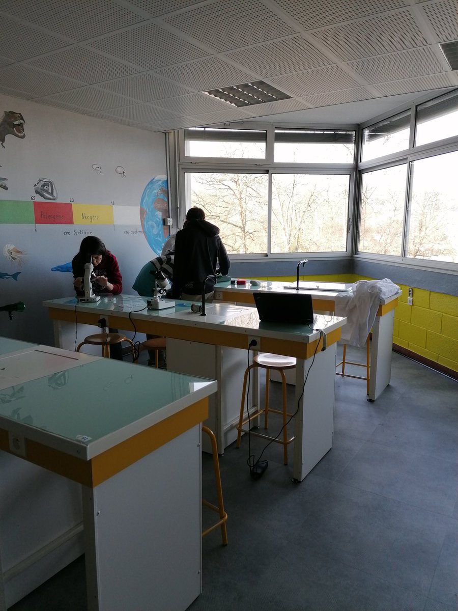 courssvt_dsj's tweet photo. Escape game de Wegener #SVT #Cycle4 #DeriveDesContinents https://t.co/jJ0q2SCxhv