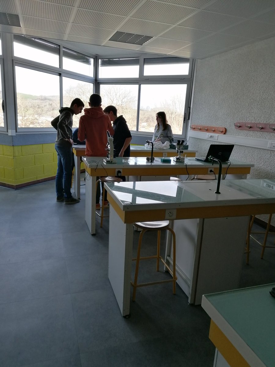 courssvt_dsj's tweet photo. Escape game de Wegener #SVT #Cycle4 #DeriveDesContinents https://t.co/jJ0q2SCxhv