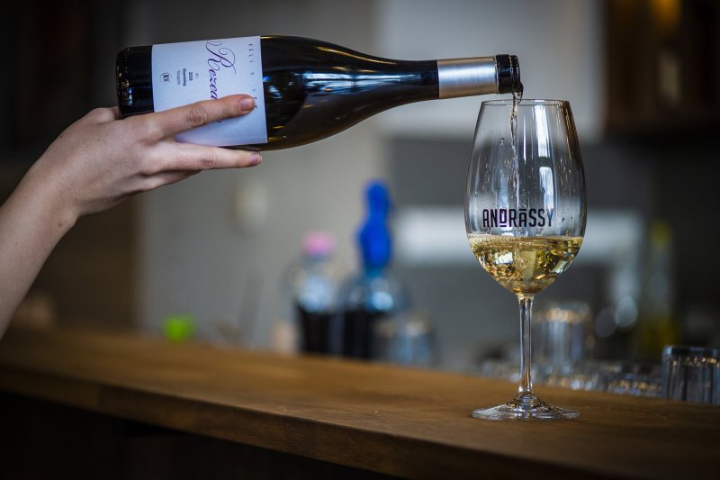 welovebudapest's tweet photo. Affordable Hungarian cuisine (and wine!) available on Andrássy utca.
#budapest #hungarian #cuisine #hungary #andrassyut #andrassy #wheretoeat #newrestaurant #food #foodies
https://t.co/4EJ7CJlLjl https://t.co/zXY8zBpVCU