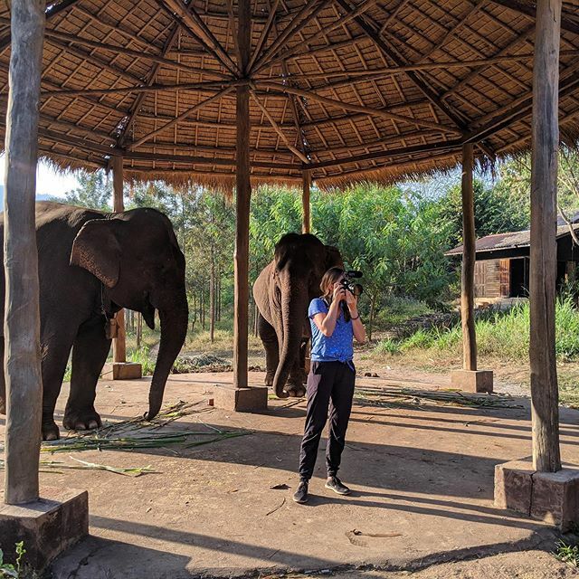 Nora in good company! 🐘 <a href="/humanpostcards/">HUMAN POSTCARDS</a> takes us on many adventures! A recent one, was to film Mr. Ba, an elephant vet in a very special protected elephant camp in Shan State, Myanmar. Getting close to these gentle wild big animals was a huge life ex… ift.tt/2uDWtAC