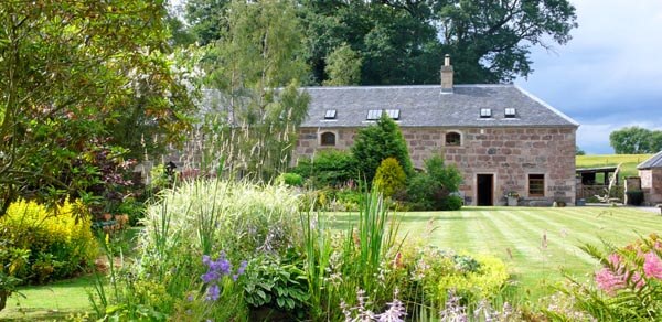 Which Cottage tweet media