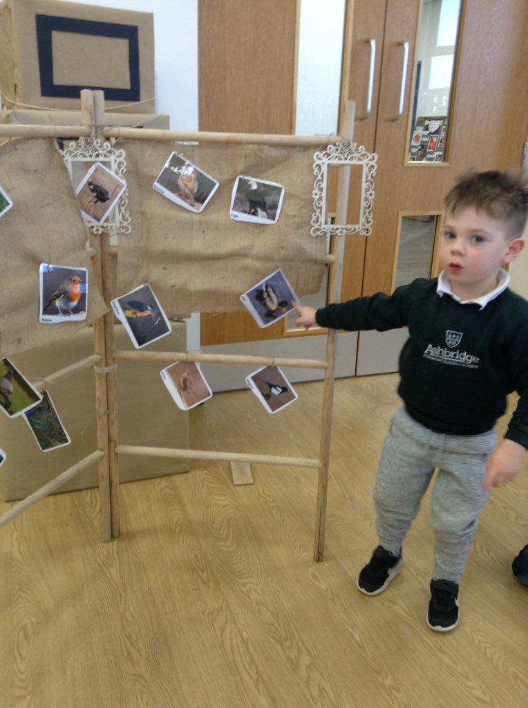 AshbridgeMaxy's tweet photo. Can you pretend to be an Ostrich? Which birds like to live in water? Which bird is really colourful? Which bird like to be awake at night? #visualquiz #communication #interactions #talkingparrots #EYMatters #learningintheatelier https://t.co/HaNiWFF2ak