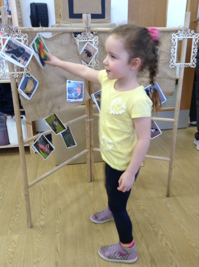 AshbridgeMaxy's tweet photo. Can you pretend to be an Ostrich? Which birds like to live in water? Which bird is really colourful? Which bird like to be awake at night? #visualquiz #communication #interactions #talkingparrots #EYMatters #learningintheatelier https://t.co/HaNiWFF2ak