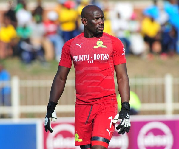 rg_glovesSA's tweet photo. RG Goalkeeper Gloves Zambia 🇿🇲  &amp; South Africa 🇿🇦 
Kennedy Mweene, International for Zambia &amp; goalkeeper for Mamelodi Sundowns 👆
Toride model! The Last wall! 

https://t.co/dJ5v7fR5dh

Team RG!
BORN TO BE A KEEPER!
#rgglovessouthafrica #rgtoride #goalkeeper #goalkeepergloves https://t.co/4202eu1cPr
