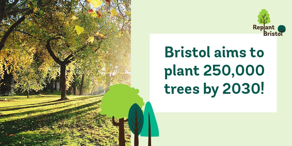 ReplantBristol's tweet photo. Make 2020 the year of action π³
You can act against #climatechange now by signing up your business to plant #OneTreePerEmployee ππ±
https://t.co/qOUGC2k7Ae
#CSR #Bristol https://t.co/j4HNfeT2k6