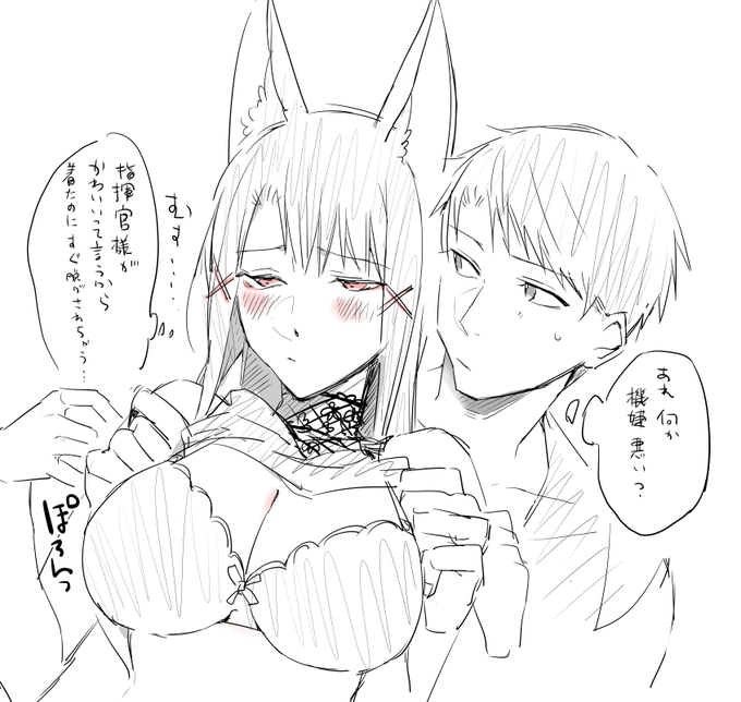 乙女赤城概念… 