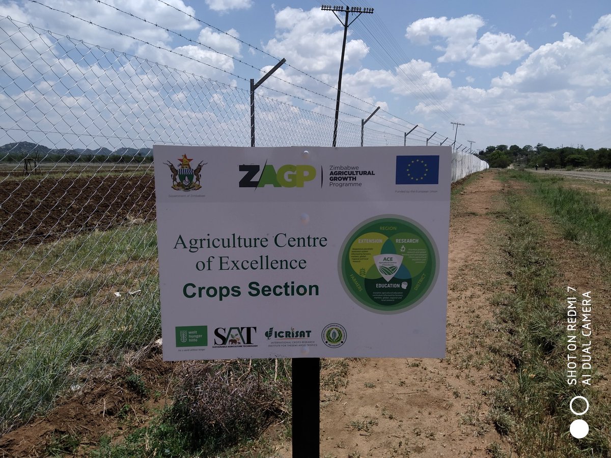 sansoleopinion's tweet photo. Ladies and gentlemen It's coming alive @euinzim @WHHZimbabwe @ZAGPInfo #ZAKIS #ACE #DACE with @MoLARR_Zim Matopos Research Station. This is going to be an exciting journey and we will take u along with us @Makera_Cattle @JosephKamuzhan1 @bvumie https://t.co/Ml3vNr1lSc