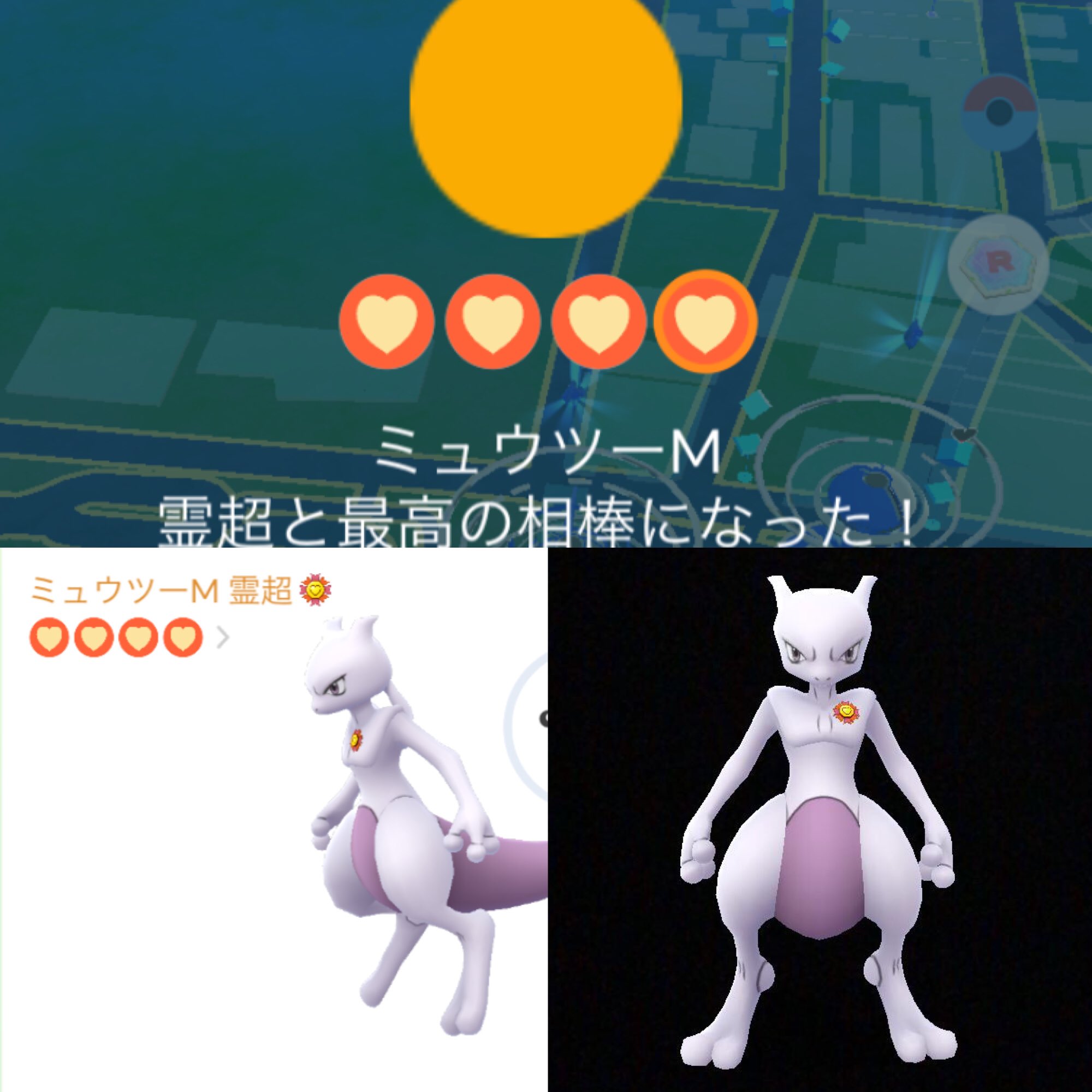 Zk ミュウツー様レイドガチり隊 本日 第2の相棒のミュウツー様と最高の相棒になりました 肝心なところでバグ起きてミュウツー 様の顔が写ってなかったぁ がんばリボンがミュウツー様の左胸に そして なんと言ってもcpブースト 個体値100 ミュウツー様