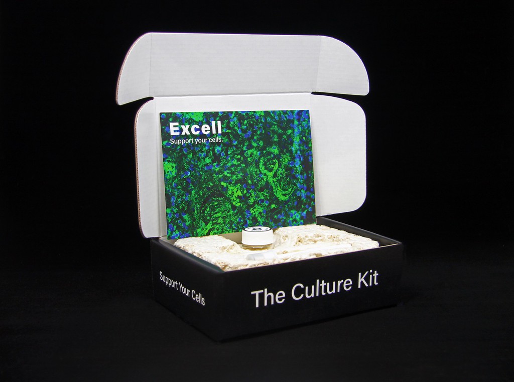 ecovative's tweet image. What better way to grow food…than on ‘food’?

Read the full article: Excell-ing in the lab
▸ lttr.ai/Mo2I

#atlastfoodco #food #cellularmatrix #cultivatedmeat #sustainablemeat #Mycelium #planet #CellCulture #ecovative