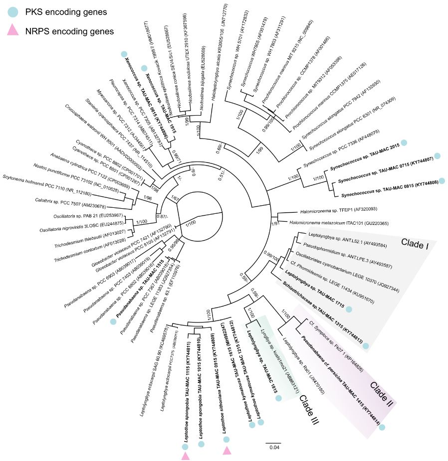 CyanoLab AUTH tweet media