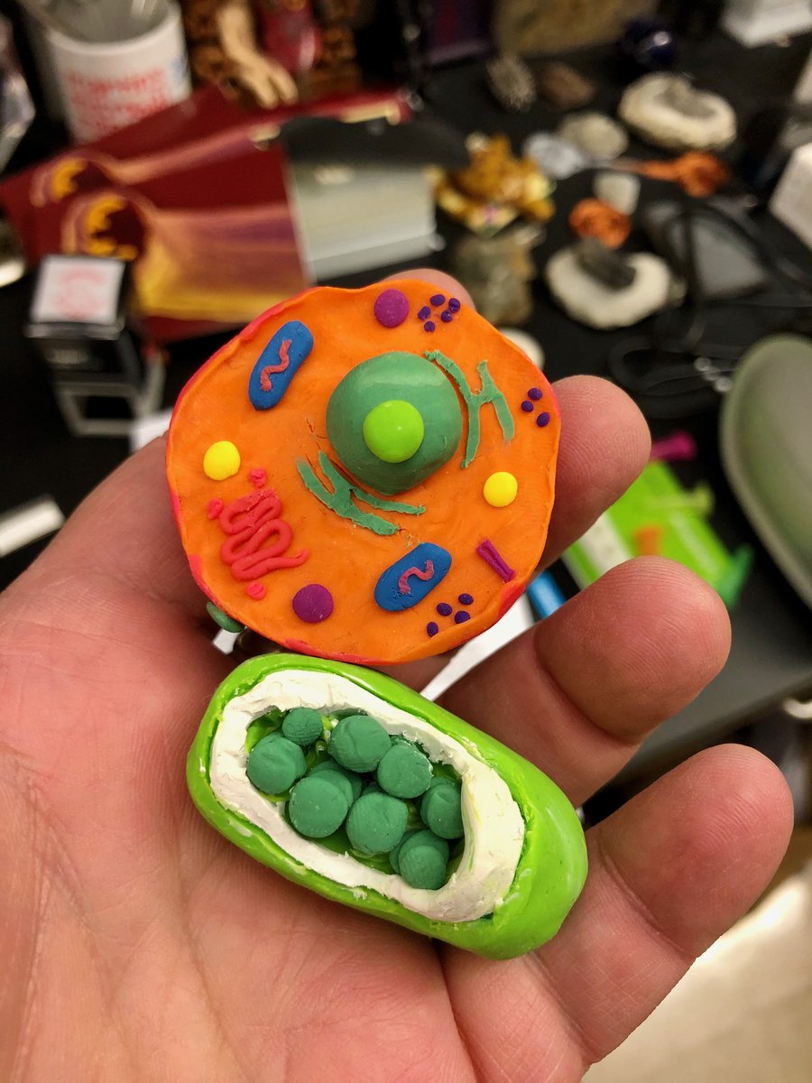 markowenmartin's tweet photo. Showing off some wonderful #CreativeExtraCredit projects by prior first year Biology students here at @univpugetsound What will my #Bio111A students make this year?? #StudentCreativity @ASMicrobiology https://t.co/90FQ6TlJUC