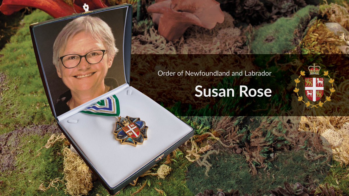 judy_foote's tweet photo. Now being invested to the Order of Newfoundland and Labrador, Susan Rose (@RoseSusanrose) of Broad Cove in the Human Rights category. https://t.co/6eEGbf1q6V