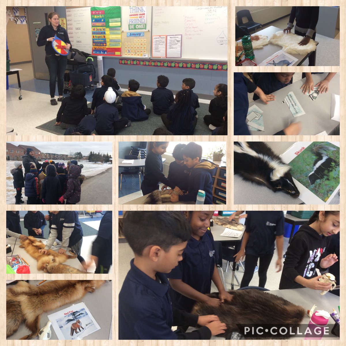 Thank you to Watershed on Wheels for your informative presentation on preserving water, animals and plants.