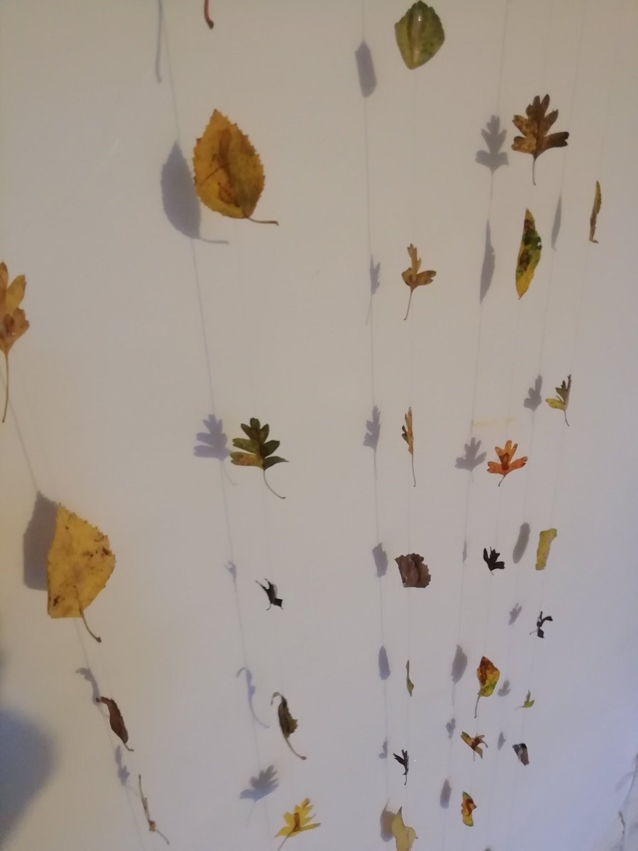 Síle Joyce tweet media