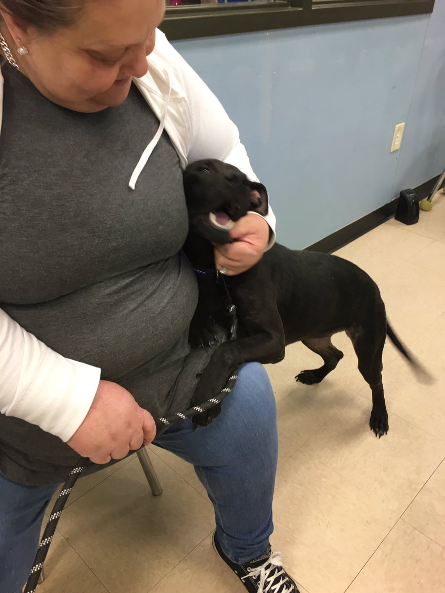 FBCASTX's tweet photo. Pretty Ms. Peachy is getting the day off from the shelter! #shorttermfoster #fosteringsaveslives https://t.co/4vifzE2DAo