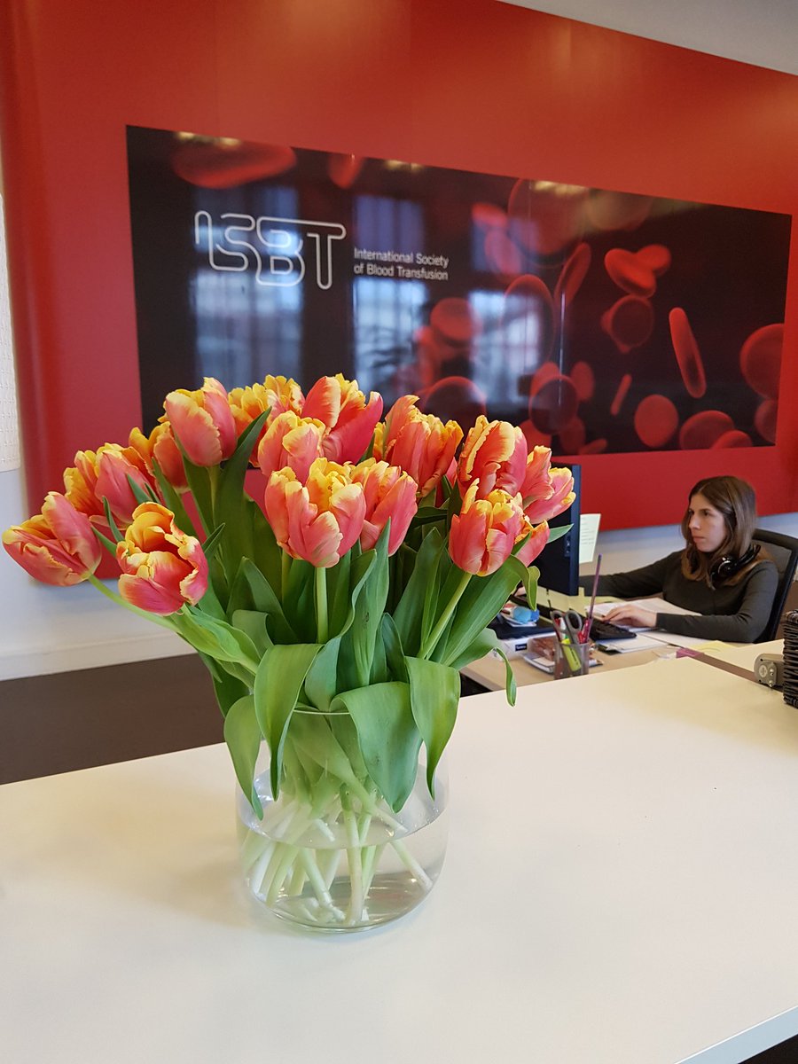 Tulips from Am....... in the ISBT office add to our best office ever.