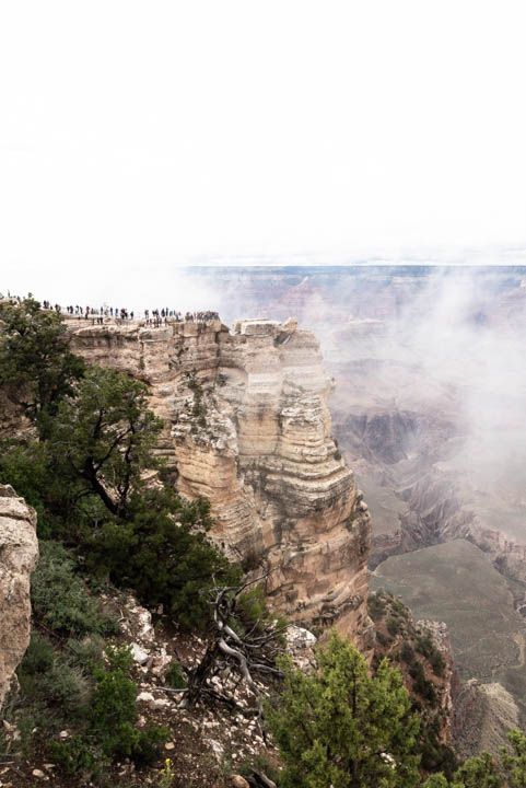 travoutlandish's tweet photo. 1/2 Since Instagram came to be, the National Parks have been flooded with unprecedented annual visitors. People who are in it for the photo. Who break park rules in pursuit of a better shot. Who buy up permits and blow through the experience once they get their shot... https://t.co/PHWBqDY8dI