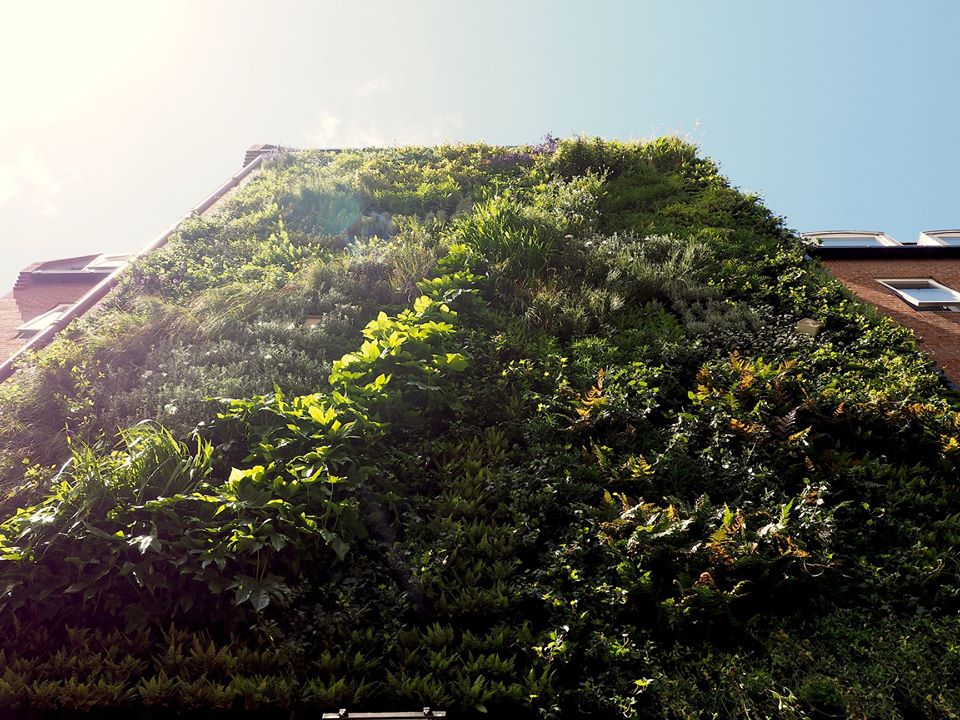 TeamLondonBdg's tweet photo. 📢 2 of our #LondonBridge initiatives have been shortlisted in the #LocalProjectChallenge! 🙌There are so many inspiring #sustainability driven projects from all over the world to choose from, but we'd love to get your vote! 🌎💚→ https://t.co/xLX6Zb0ddi 

#SDG #globalgoals #SE1 https://t.co/p6hJlJhybB