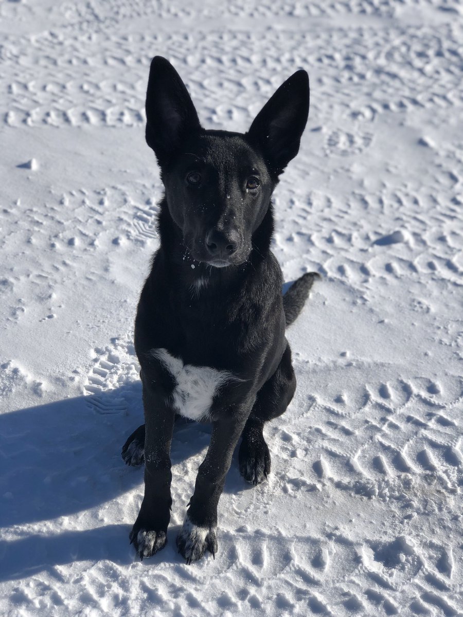 jess_bibo's tweet photo. #BellLetsTalk cause this handsome guy makes me so happy https://t.co/aTatLap3F0