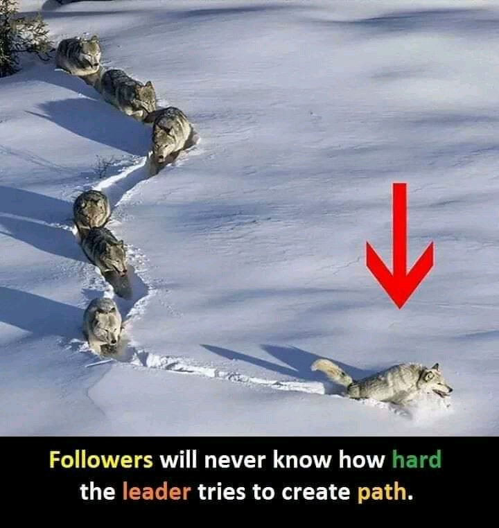 webtrainings's tweet photo. Many people think that it's very easy to do business because everything is easy, but in reality the leader will make a way by overcoming all difficulties in the way. Always follow a wise leader.
#SharedfromLinkedin https://t.co/u9uSiheCIm