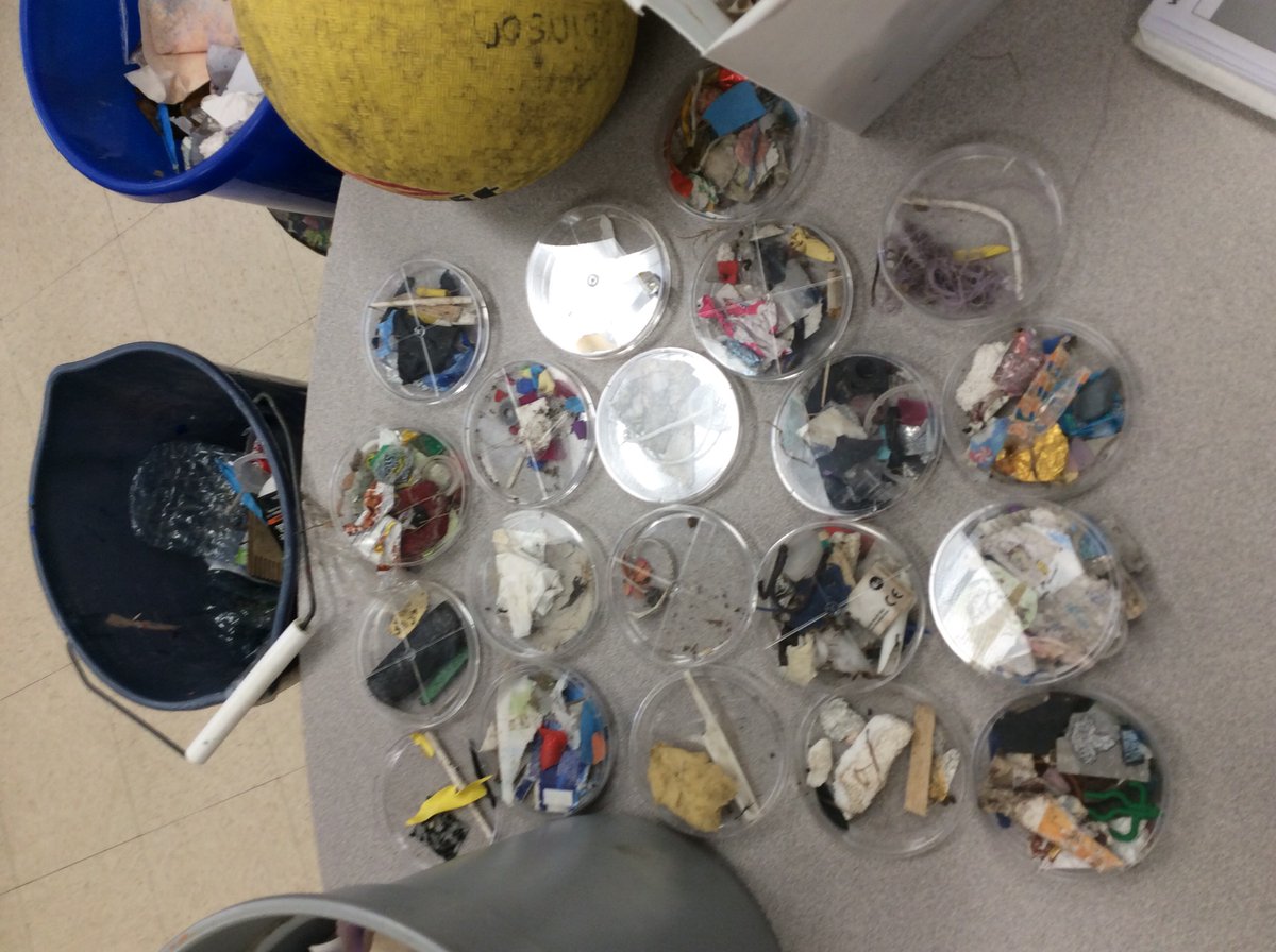 Room11Dll's tweet photo. Ocean Garbage Patch cleanup. @BoyanSlat plastic migration @CanGeoEdu  @BenKneppers We collected garbage-school yard was our pretend ocean. 
Solving problems, stewards of the earth, change makers We must take action! #10000changes Solve the plastic problem @rosedaleroyals https://t.co/E60OlOWNNh