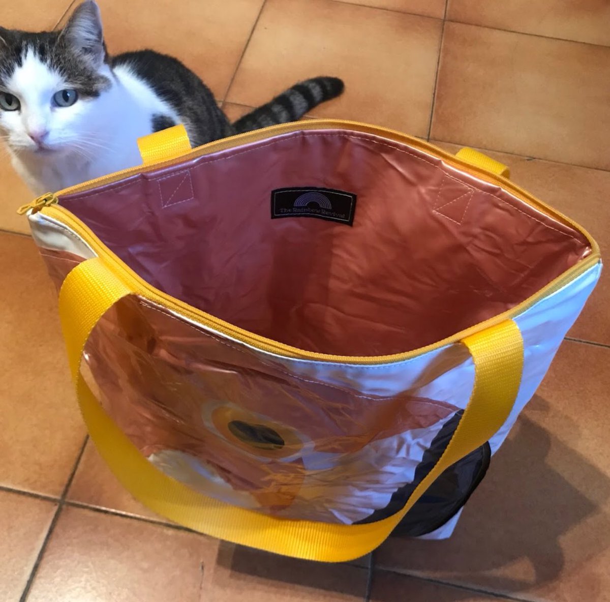 rainbowrevivalx's tweet photo. Our bags have a 100% positive cat rating and 10/10 would recommend them, we think that’s incentive enough😉🌈 #therainbowrevival #nowasteonourwatch #ecofriendly #handmade #recycle #sustainablefashion #climatechange #reuse #greenfashion #frenchriviera #upcycle #semainegreen https://t.co/gtqPo3ETO3