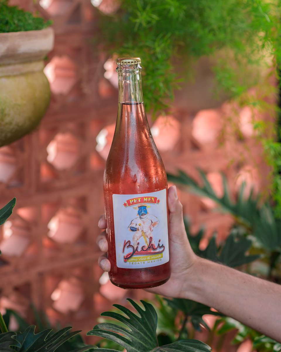 Pet Mex 2018, un vino local muy mexicano. 🤙🏻

Te esperamos en 📍Av. México 2207.

#quierochancho #chanchopalabanda #chanchogdl #Bichi #vinosnaturales #naturalwine