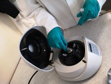 framacademic's tweet photo. Year 13 students worked on the first stage of creating a recombinant plasmid for production of the red fluorescent protein (rfp). They used restriction digestion with two enzymes (BamHI and HindIII) to create linear DNA fragments from 2 known plasmids @ABEProgOffice @STEM_UH https://t.co/ct0NoLZ1Cn