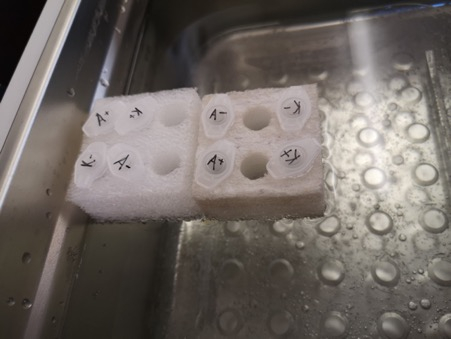 Year 13 students worked on the first stage of creating a recombinant plasmid for production of the red fluorescent protein (rfp). They used restriction digestion with two enzymes (BamHI and HindIII) to create linear DNA fragments from 2 known plasmids <a href="/ABEProgOffice/">Amgen Biotech Experience (ABE) Program Office</a> <a href="/STEM_UH/">Centre for STEM Education</a>
