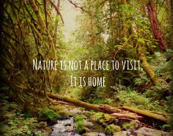 Come home to Willow Valley!