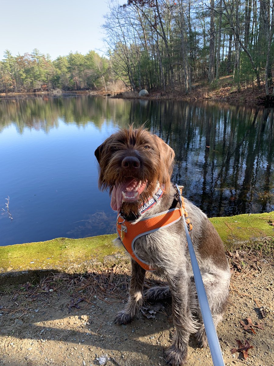 Bill Mason tweet media