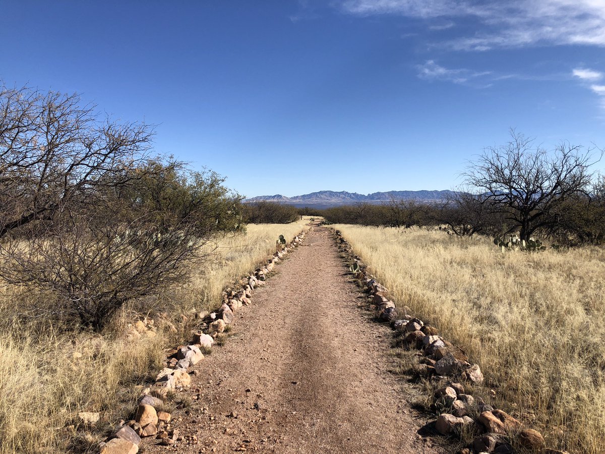 TobiDamoreMusic's tweet photo. Back in the saddle is a good place to be. #ontheroadagain #songsmith #tourlife #road #rvlife https://t.co/X6nOc10LH5