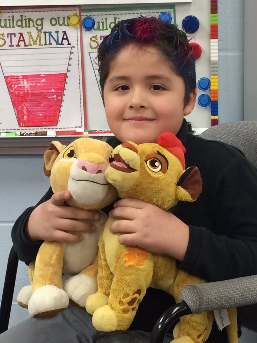MrsDrapersClass's tweet photo. Today I showed my stuffies Simba and Kion @willowstoneacademy #funny #cute #StudentoftheWeek @lionking https://t.co/PQYqKeznrH