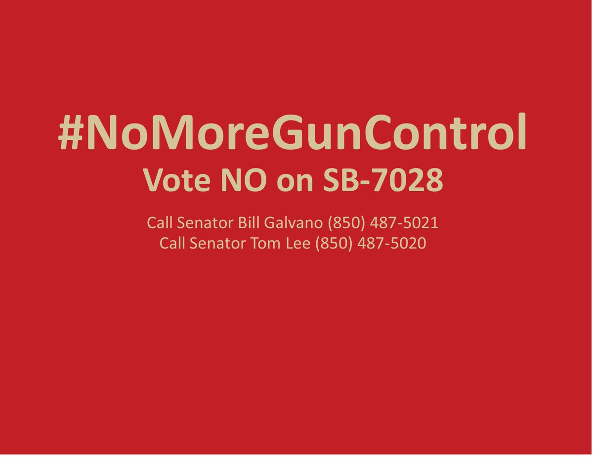 rlcLakeCounty's tweet image. #NoMoreGunControl - CALL TO ACTION - *|rlcfl-lake.org/nomoreguncontr…|*
