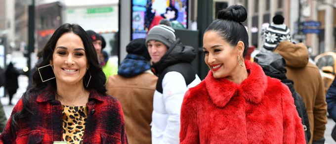 Nikki Bella and her twin sister Brie are pregnant and the internet is so happy for them. The news of the Bella twins being pregnant at the same time is good