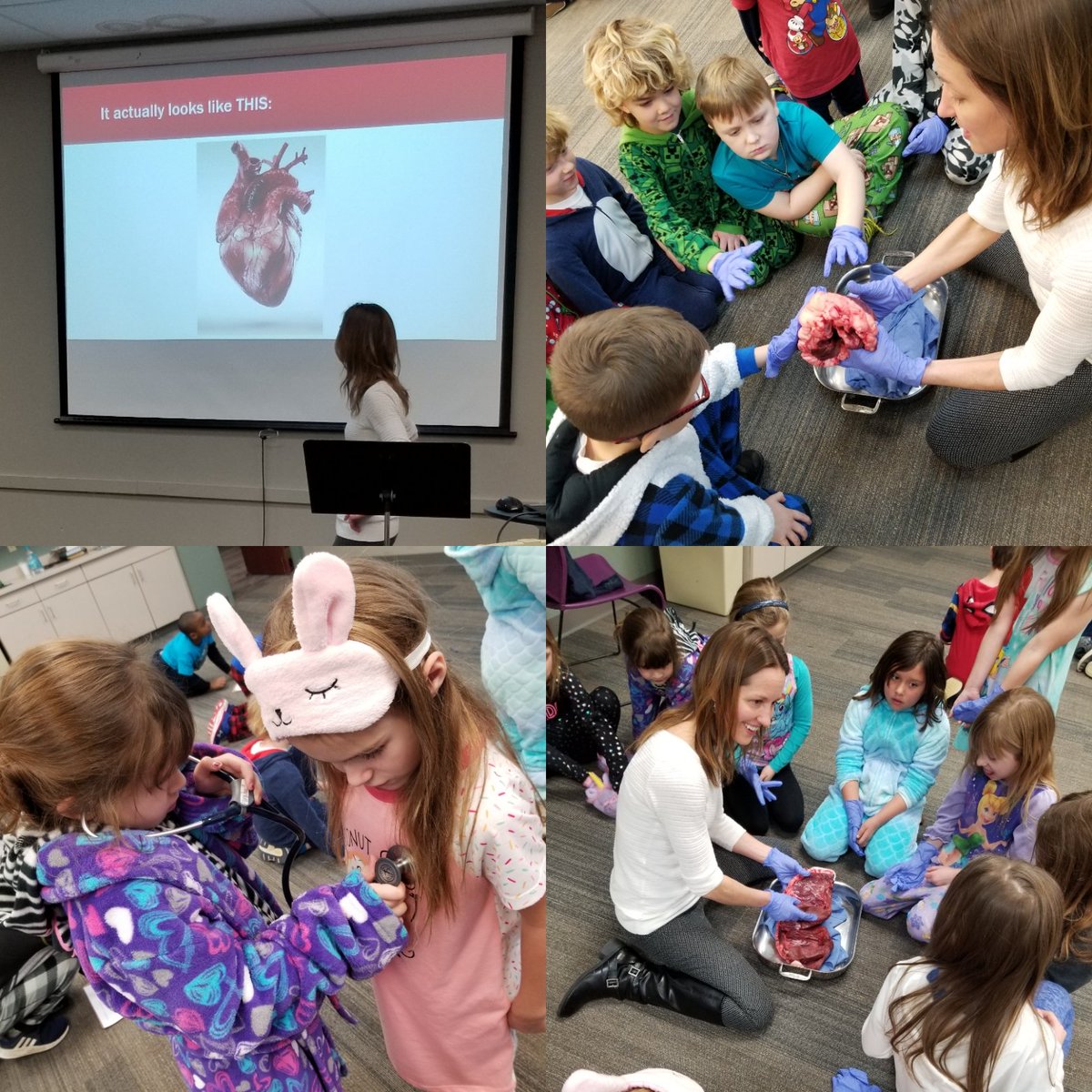 CCLSNummela's tweet photo. Learning all about the heart since we're doing th Kid's Heart Challenge this week! Thanks Mrs. Mehner! @CCLSChargers https://t.co/THJubp6khe