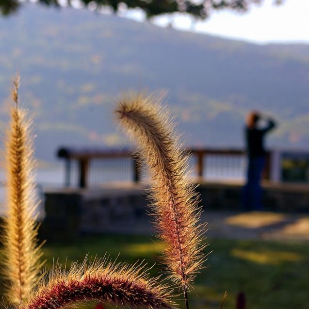 Attention all #outdoor enthusiasts! From fishing to kayaking, hiking to mountain biking, adventure awaits you in Lake #FortSmith State Park! bit.ly/2CSEEkc #ARStateParks @ARStatePark